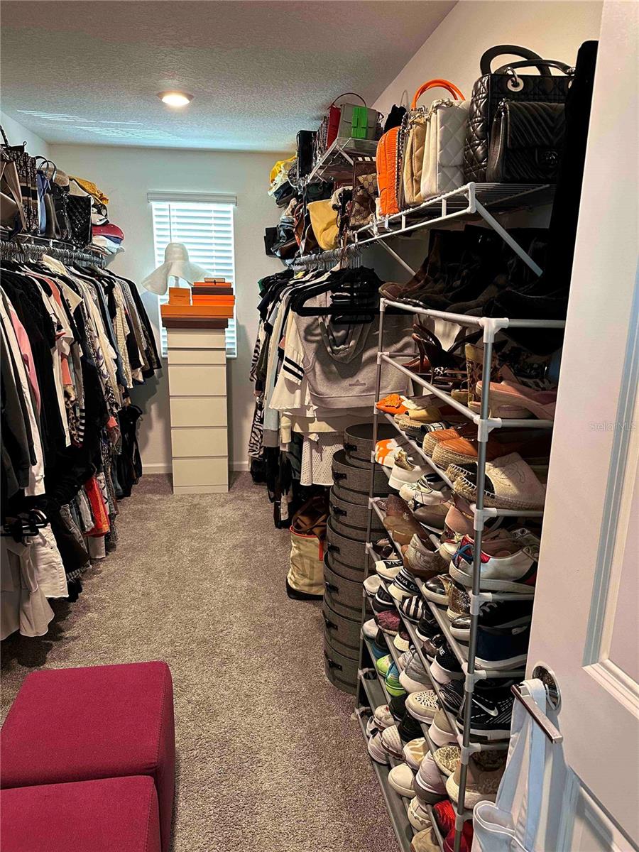 8946 FLUFFY LIE CT, DAVENPORT, FL, 33896