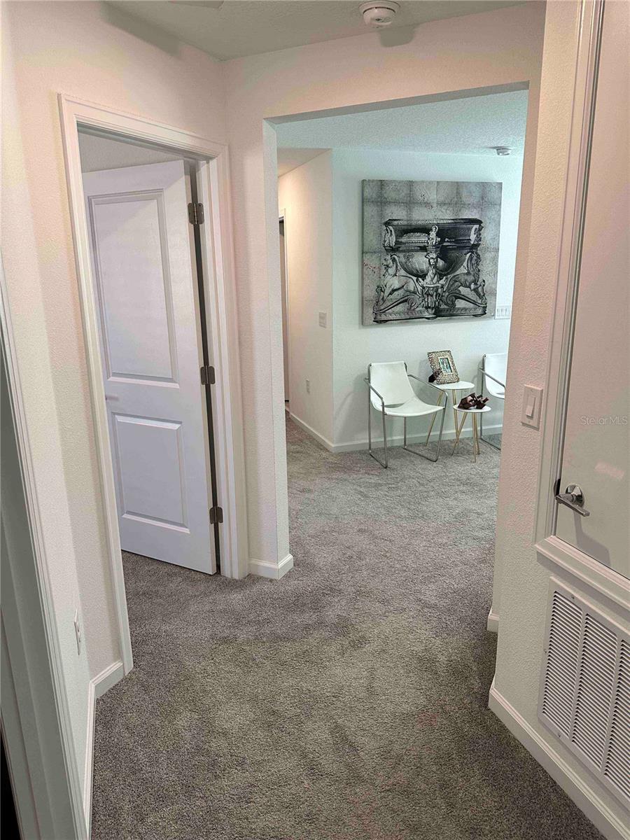 8946 FLUFFY LIE CT, DAVENPORT, FL, 33896