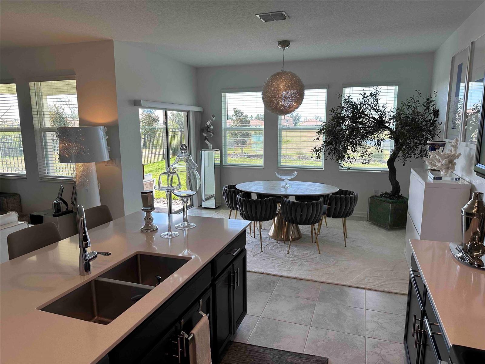 8946 FLUFFY LIE CT, DAVENPORT, FL, 33896