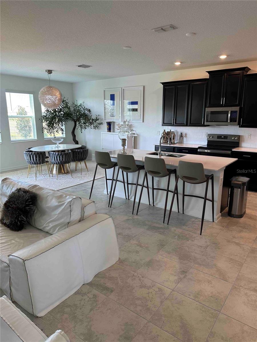 8946 FLUFFY LIE CT, DAVENPORT, FL, 33896