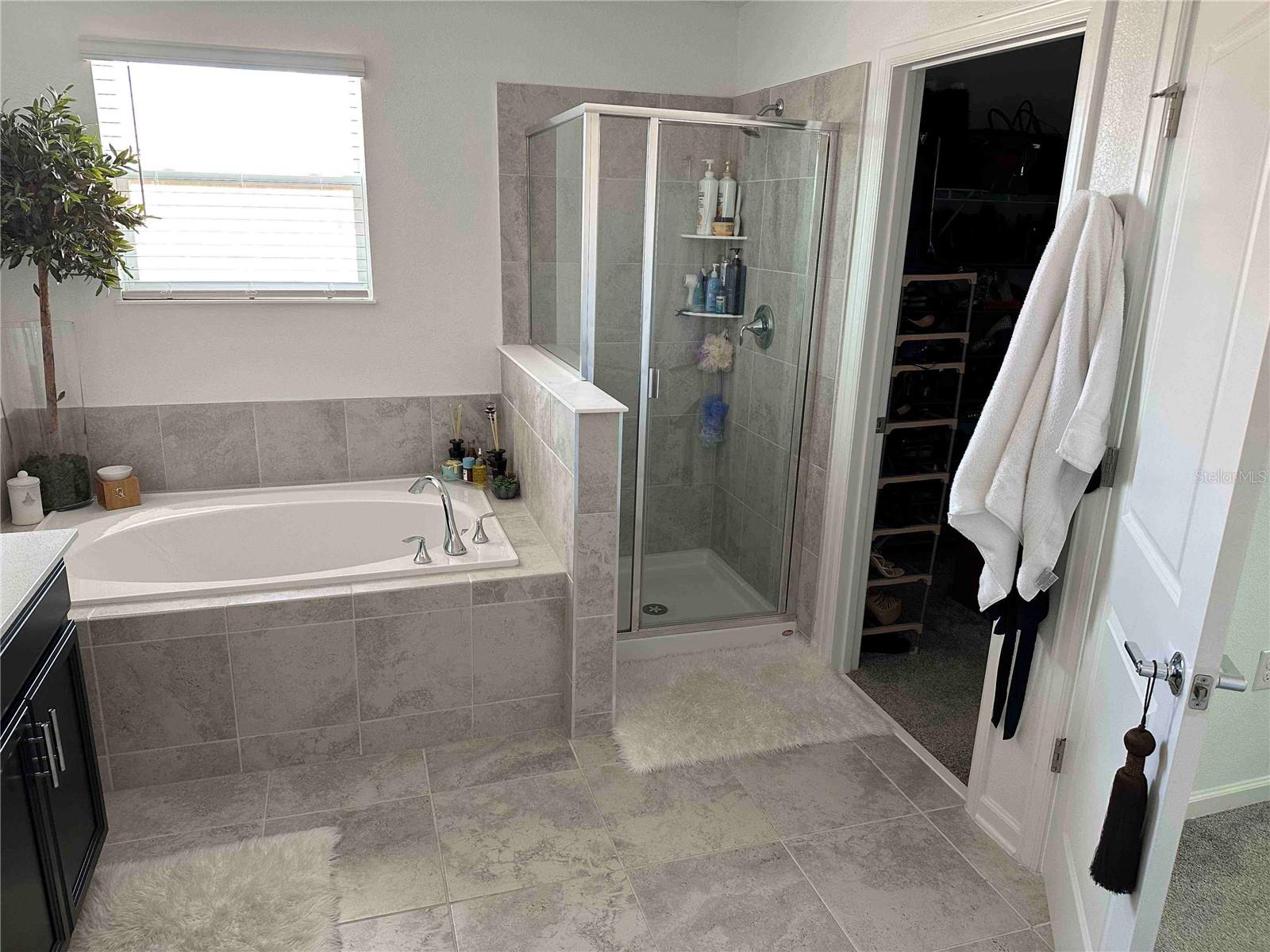 8946 FLUFFY LIE CT, DAVENPORT, FL, 33896