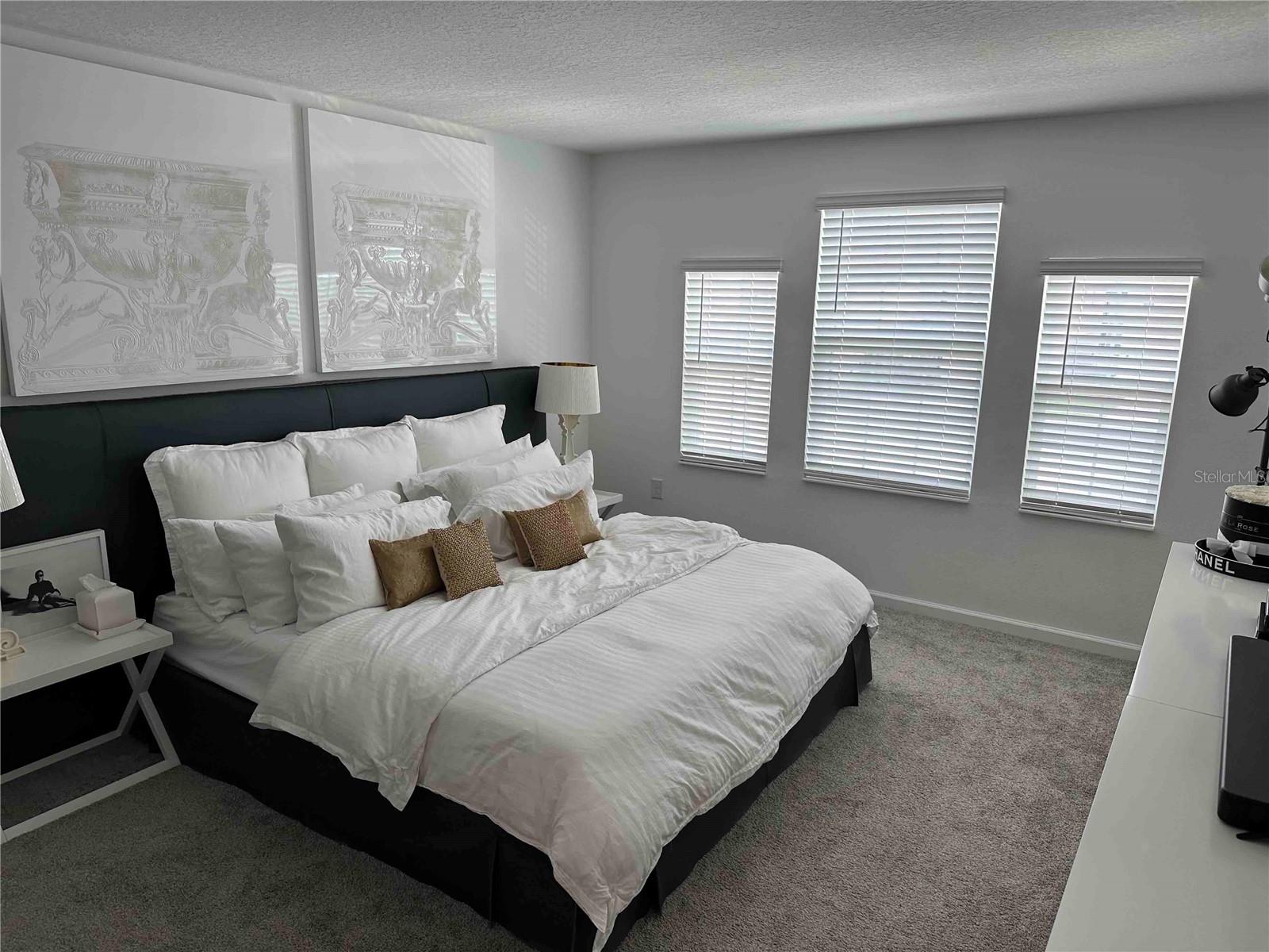 8946 FLUFFY LIE CT, DAVENPORT, FL, 33896