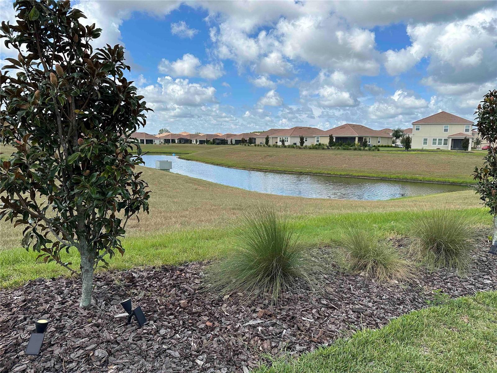 8946 FLUFFY LIE CT, DAVENPORT, FL, 33896