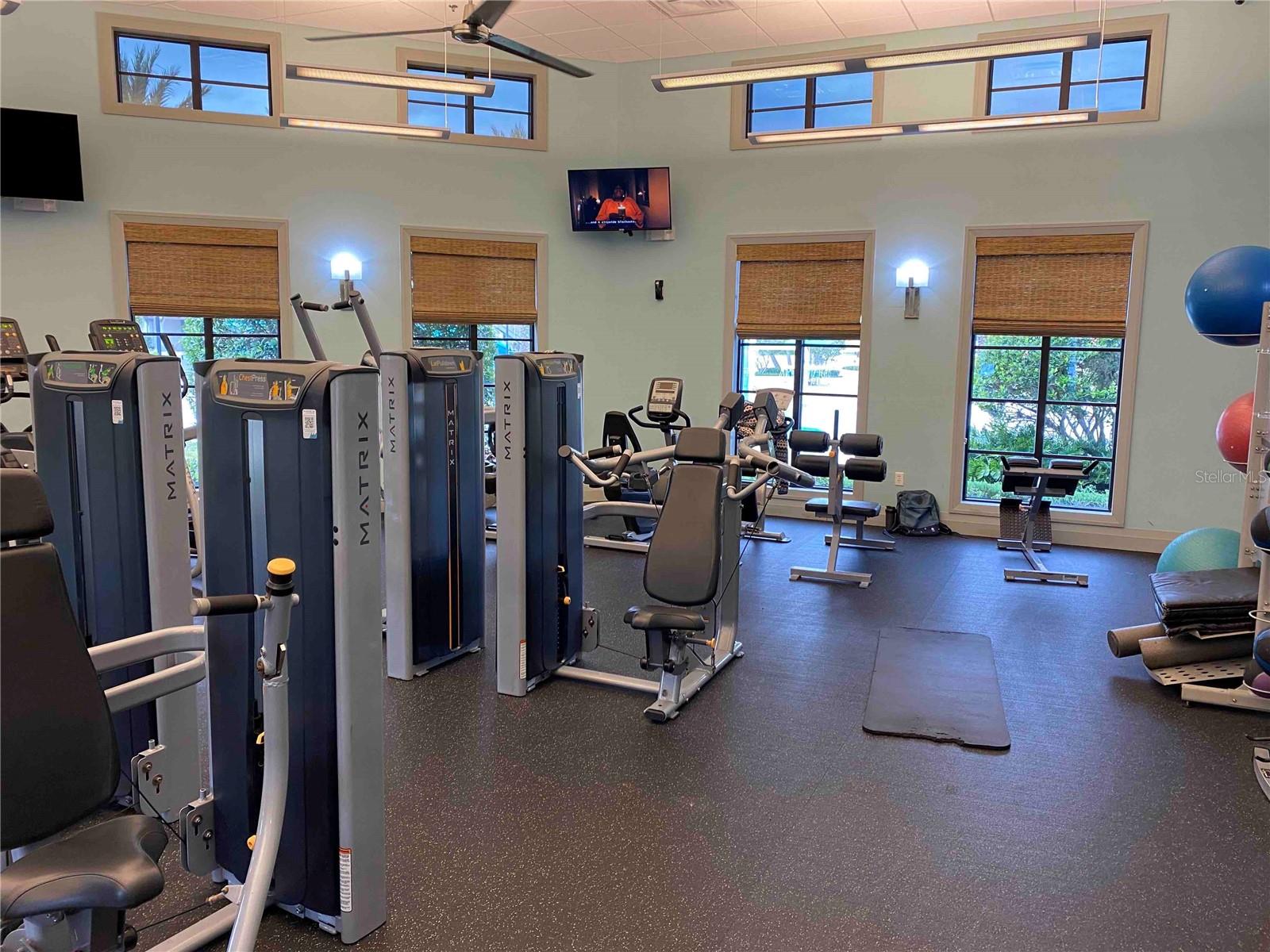 8946 FLUFFY LIE CT, DAVENPORT, FL, 33896