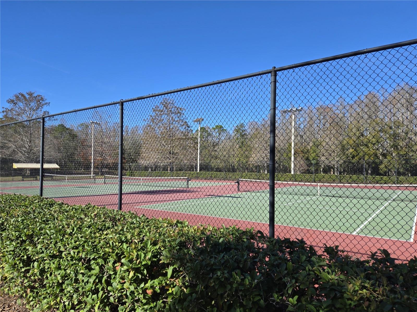 3358 MERMOOR DR #2106, PALM HARBOR, FL, 34685