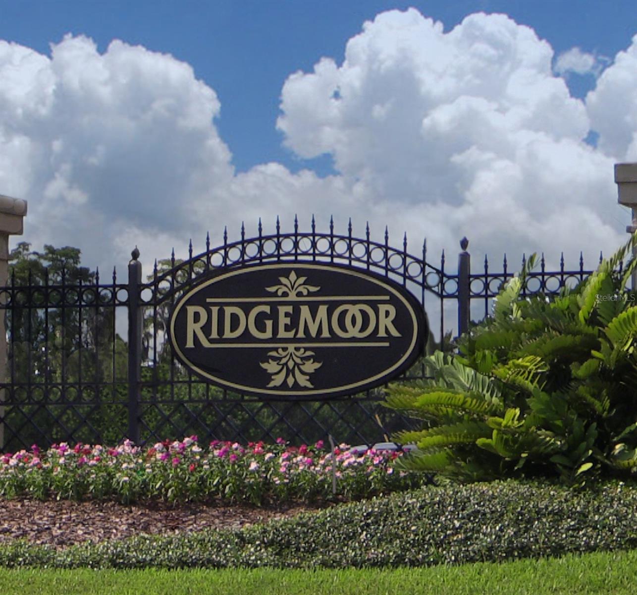 3358 MERMOOR DR #2106, PALM HARBOR, FL, 34685