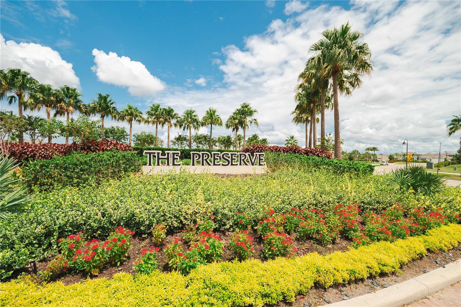 2878 SUNCOAST PLAINS DR, ODESSA, FL, 33556