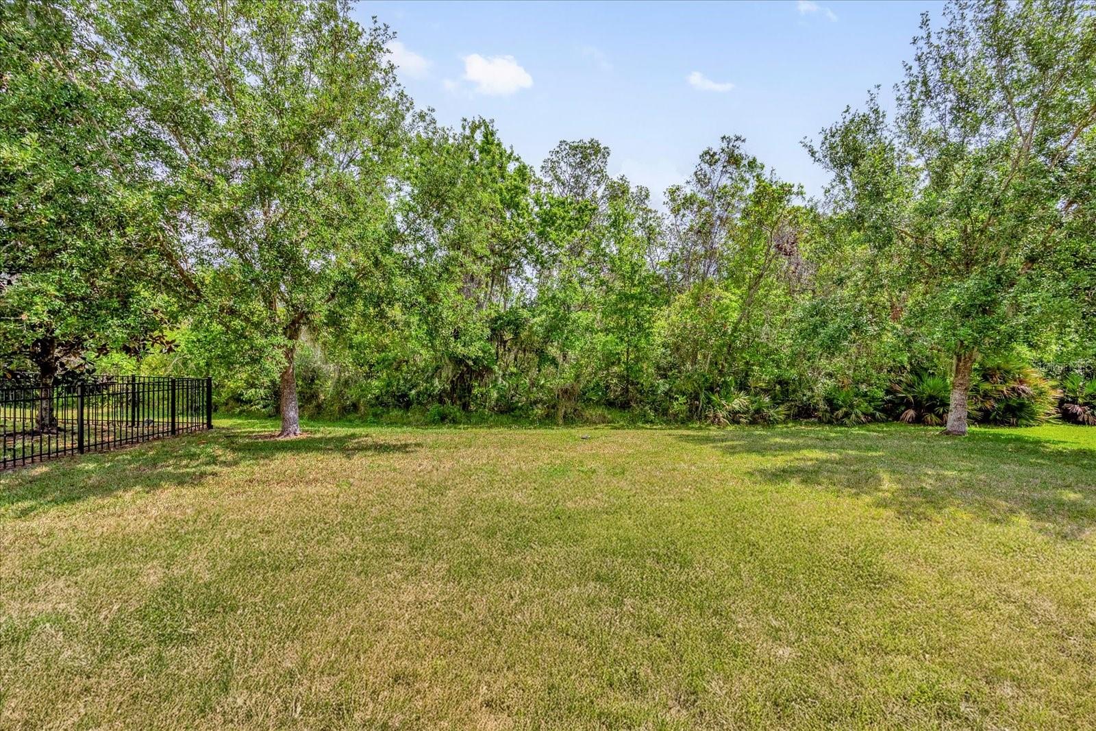 6137 WATERSIDE ISLAND LN, WINTER GARDEN, FL, 34787