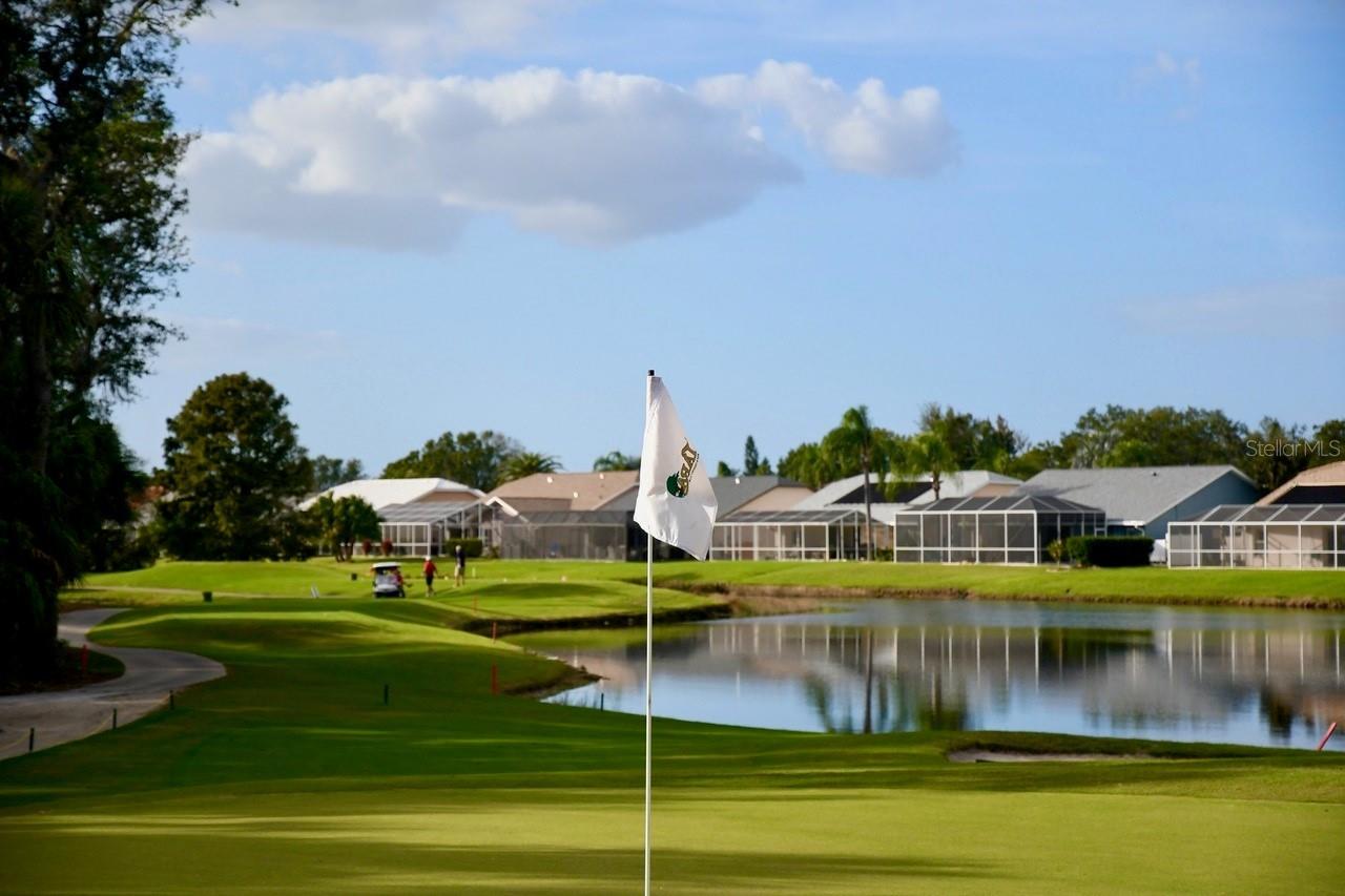 6501 STONE RIVER RD #209, BRADENTON, FL, 34203