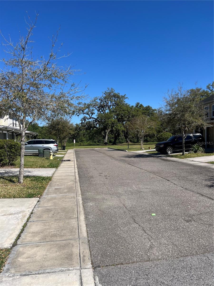 8210 DOWNPATRICK CT, TAMPA, FL, 33610