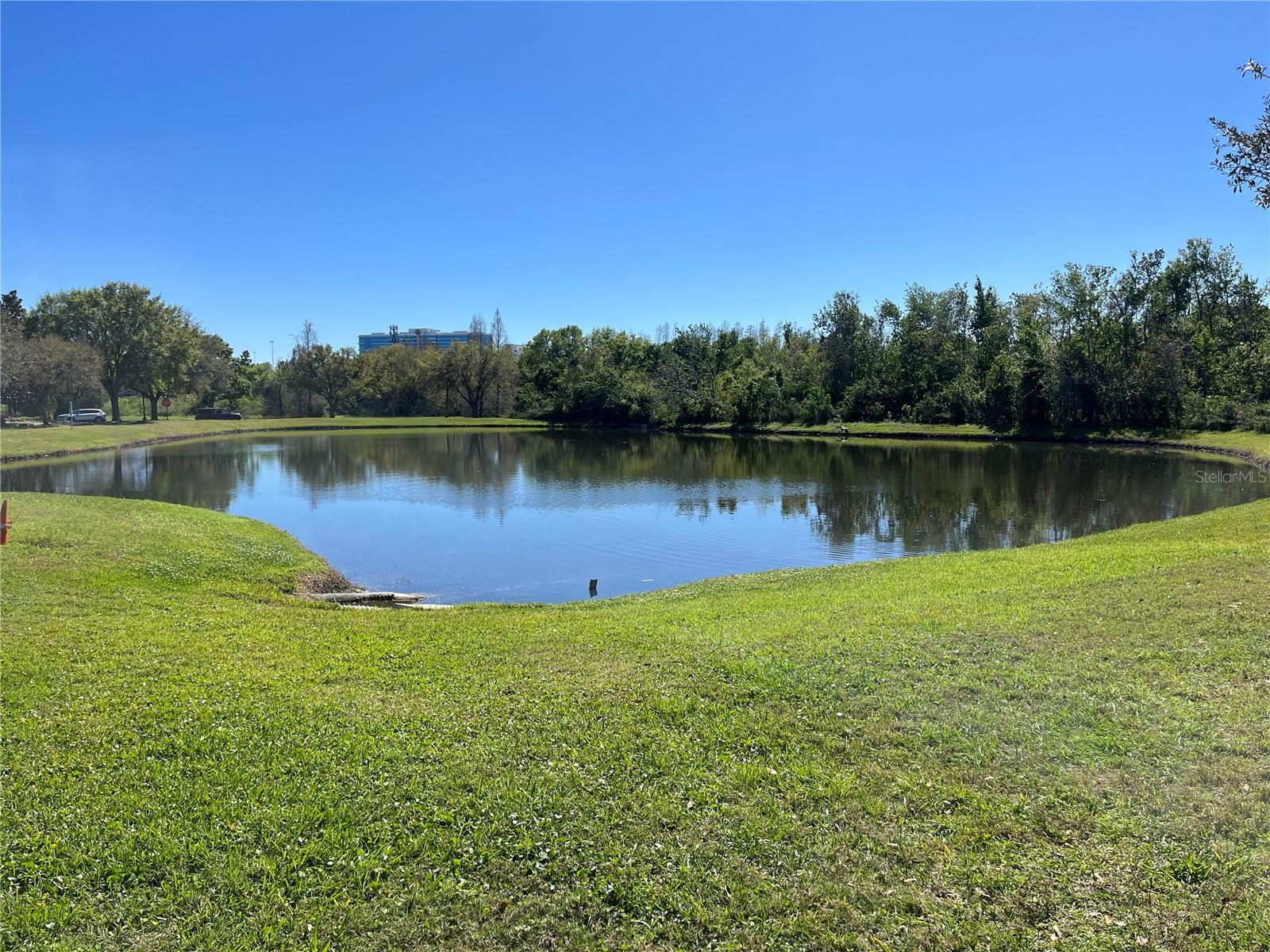 8210 DOWNPATRICK CT, TAMPA, FL, 33610