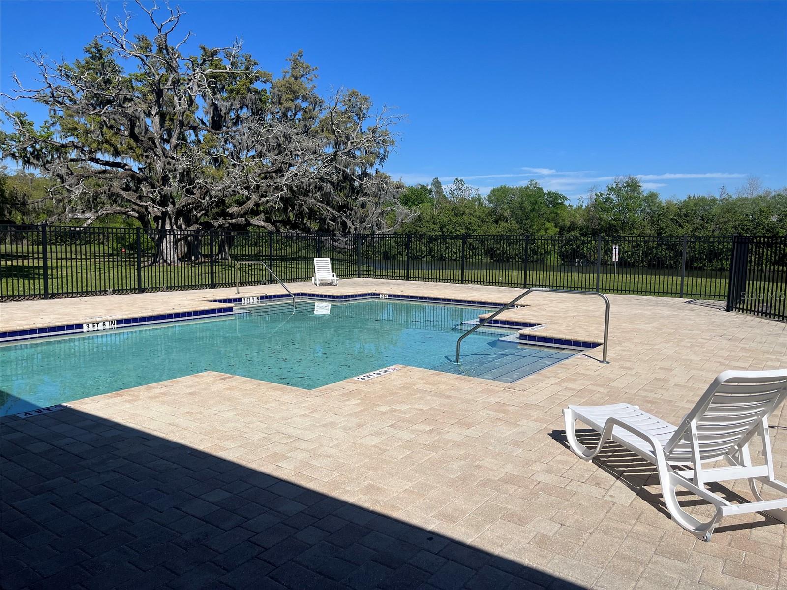 8210 DOWNPATRICK CT, TAMPA, FL, 33610