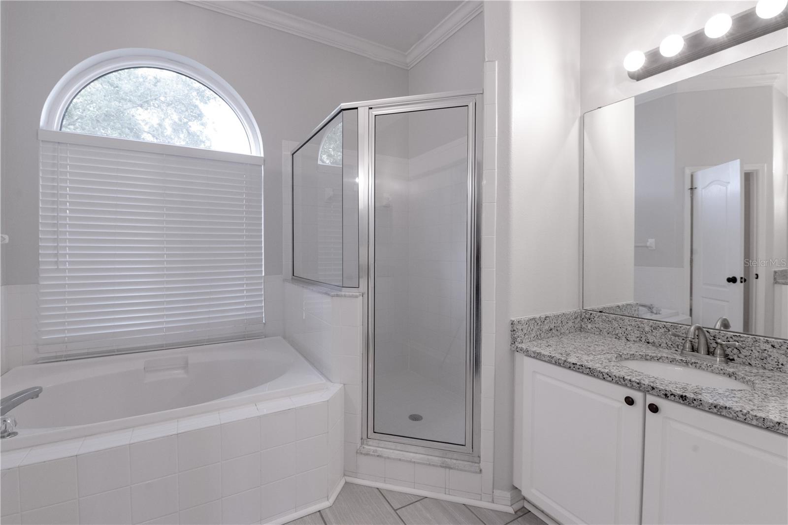 2707 ABBEY GROVE DR, VALRICO, FL, 33594