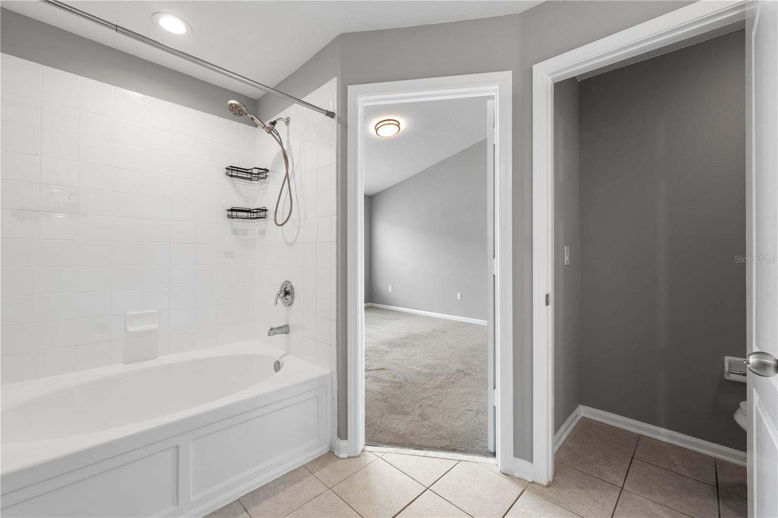 26532 CASTLEVIEW WAY, WESLEY CHAPEL, FL, 33544