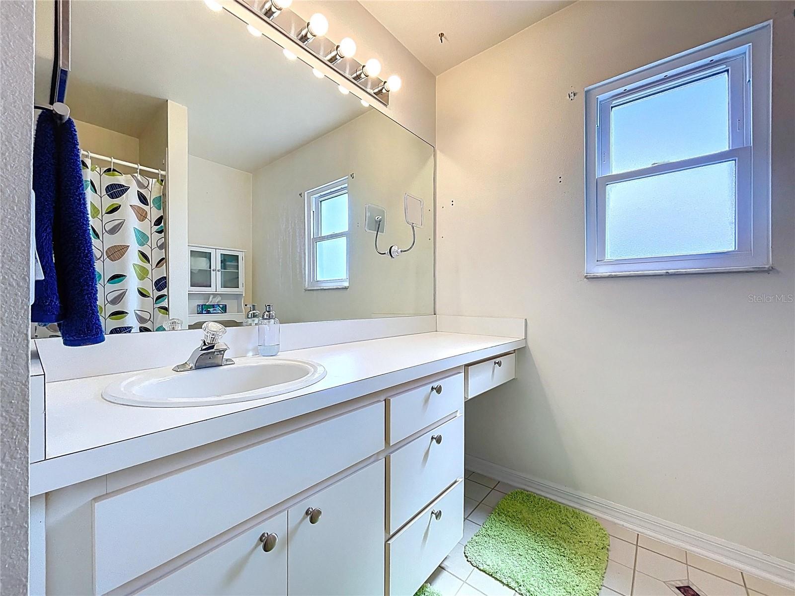 1450 WINDJAMMER PL, VALRICO, FL, 33594