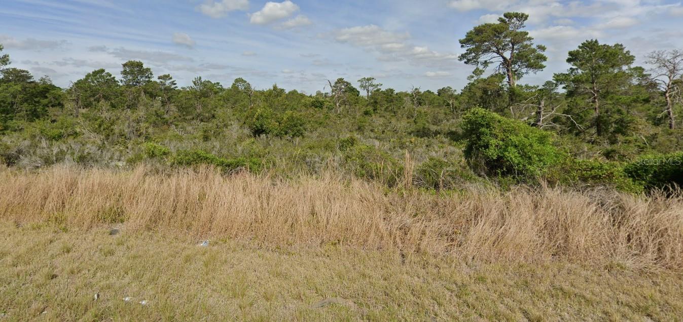 239 SANDPIPER ST, LAKE PLACID, FL, 33852