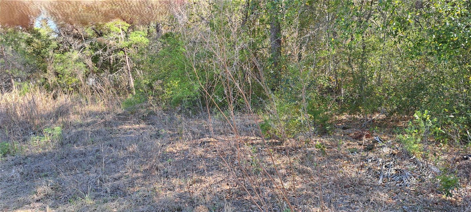 3844 E CRYSTAL LN, INVERNESS, FL, 34452