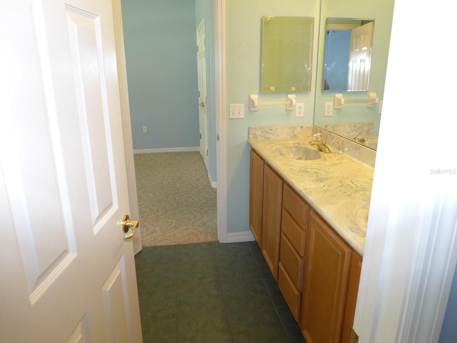 9852 SPRING LAKE DR, CLERMONT, FL, 34711