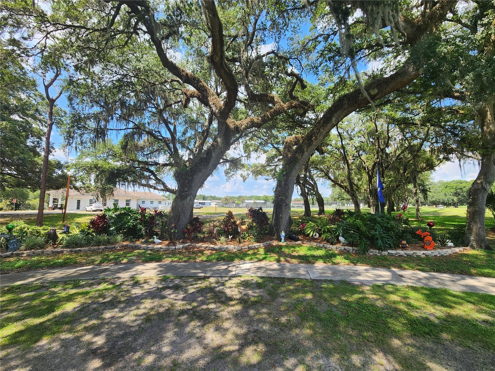 5239 FLINT ST, ZEPHYRHILLS, FL, 33542