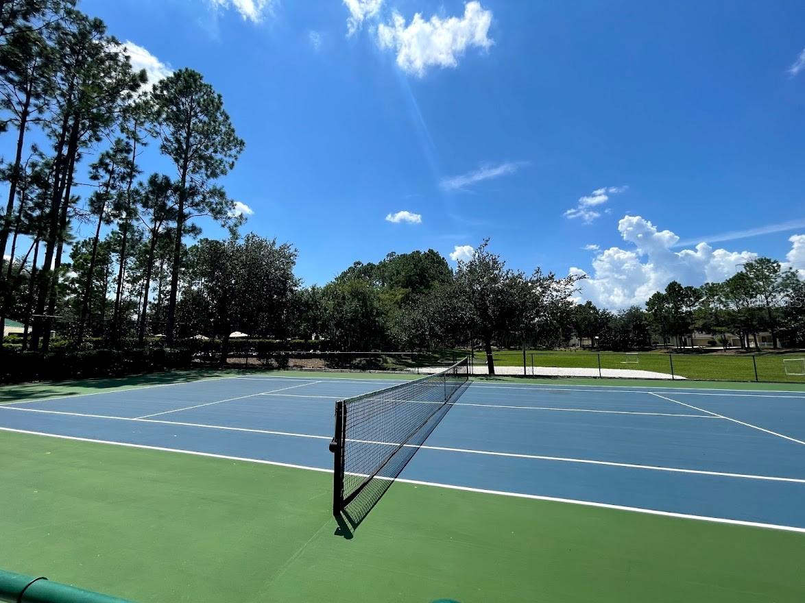12564 FOYNES AVE, WINDERMERE, FL, 34786