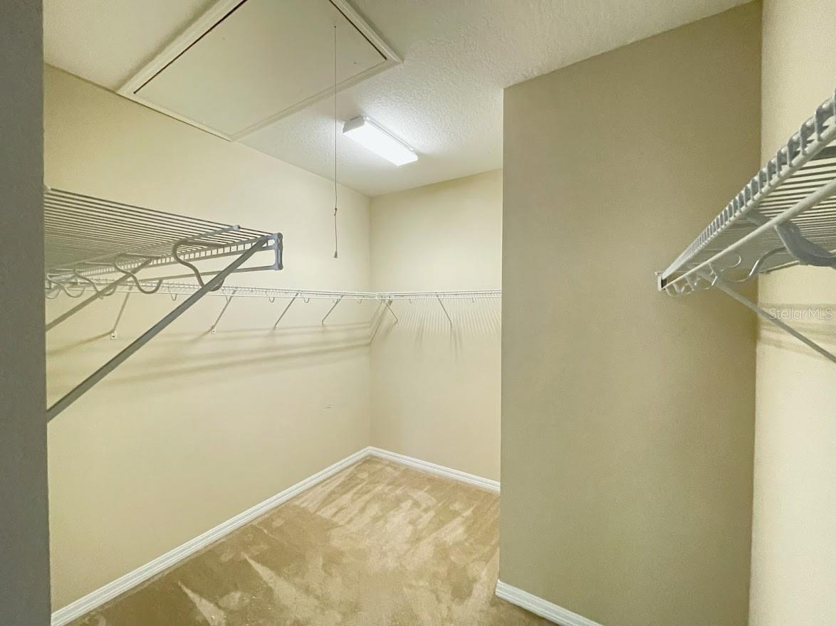 12564 FOYNES AVE, WINDERMERE, FL, 34786