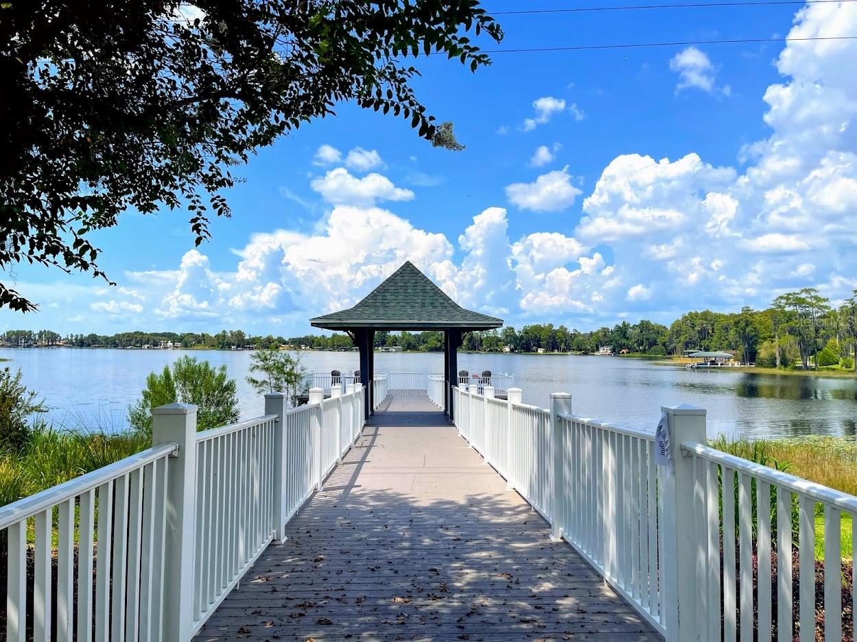 12564 FOYNES AVE, WINDERMERE, FL, 34786