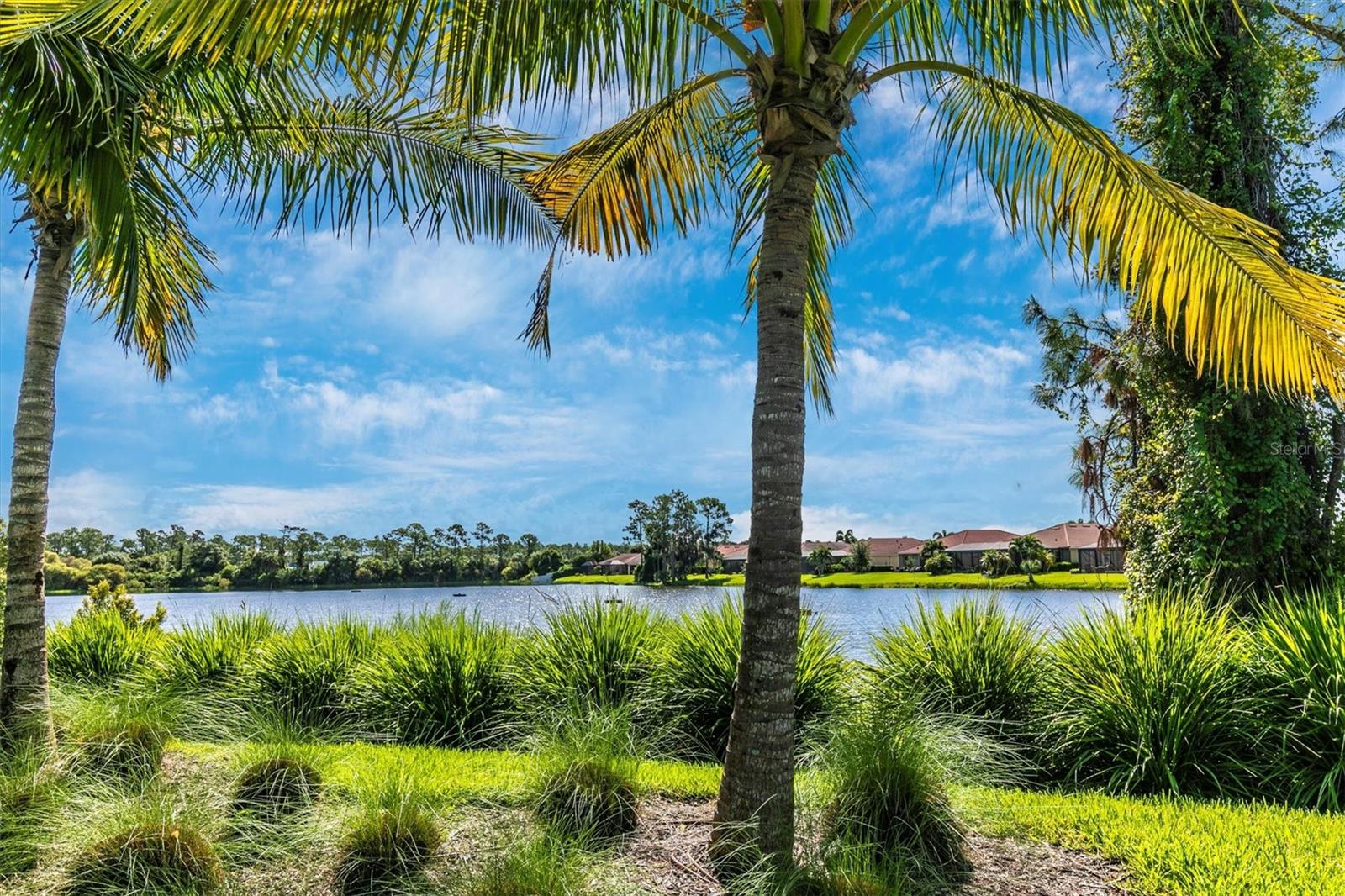 11601 PARROTFISH ST, VENICE, FL, 34293