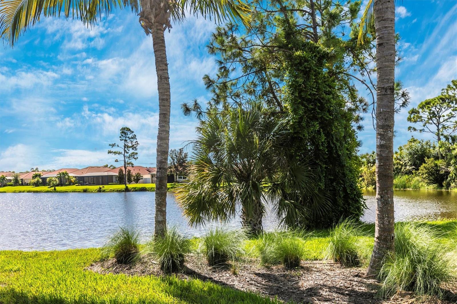 11601 PARROTFISH ST, VENICE, FL, 34293
