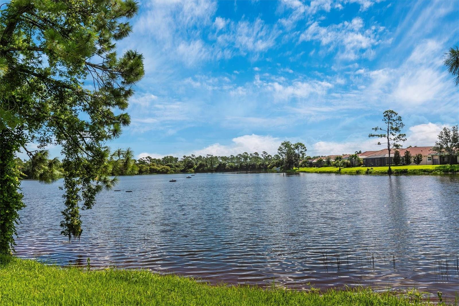 11601 PARROTFISH ST, VENICE, FL, 34293