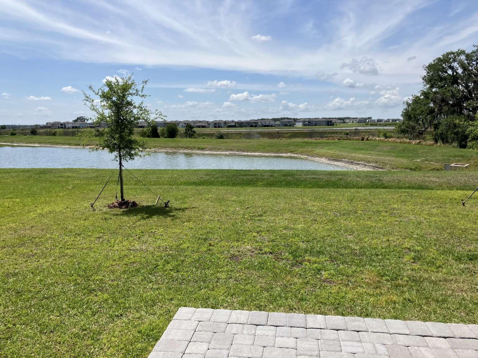 9685 BRANCHING SHIP TRCE, WESLEY CHAPEL, FL, 33545