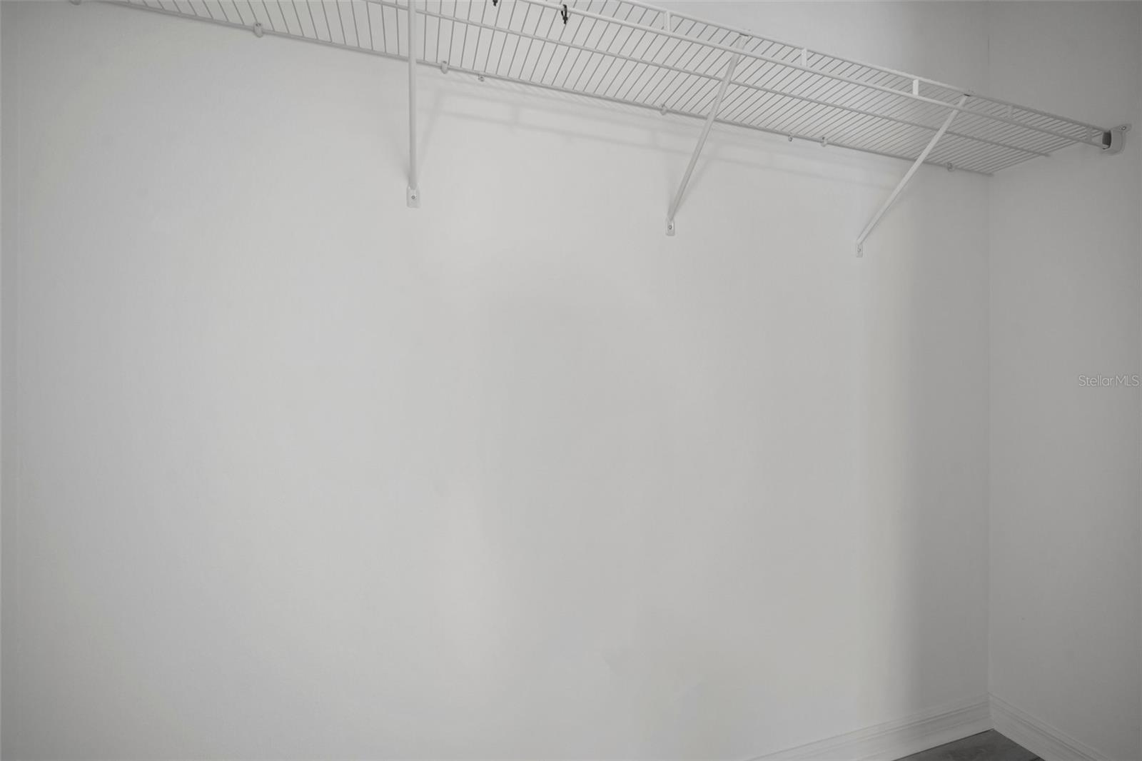 1506 CLIMBING DAYFLOWER DR, RUSKIN, FL, 33570