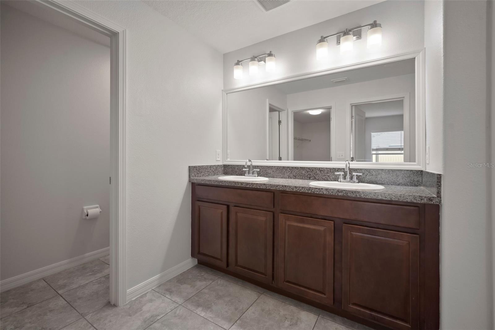 1506 CLIMBING DAYFLOWER DR, RUSKIN, FL, 33570