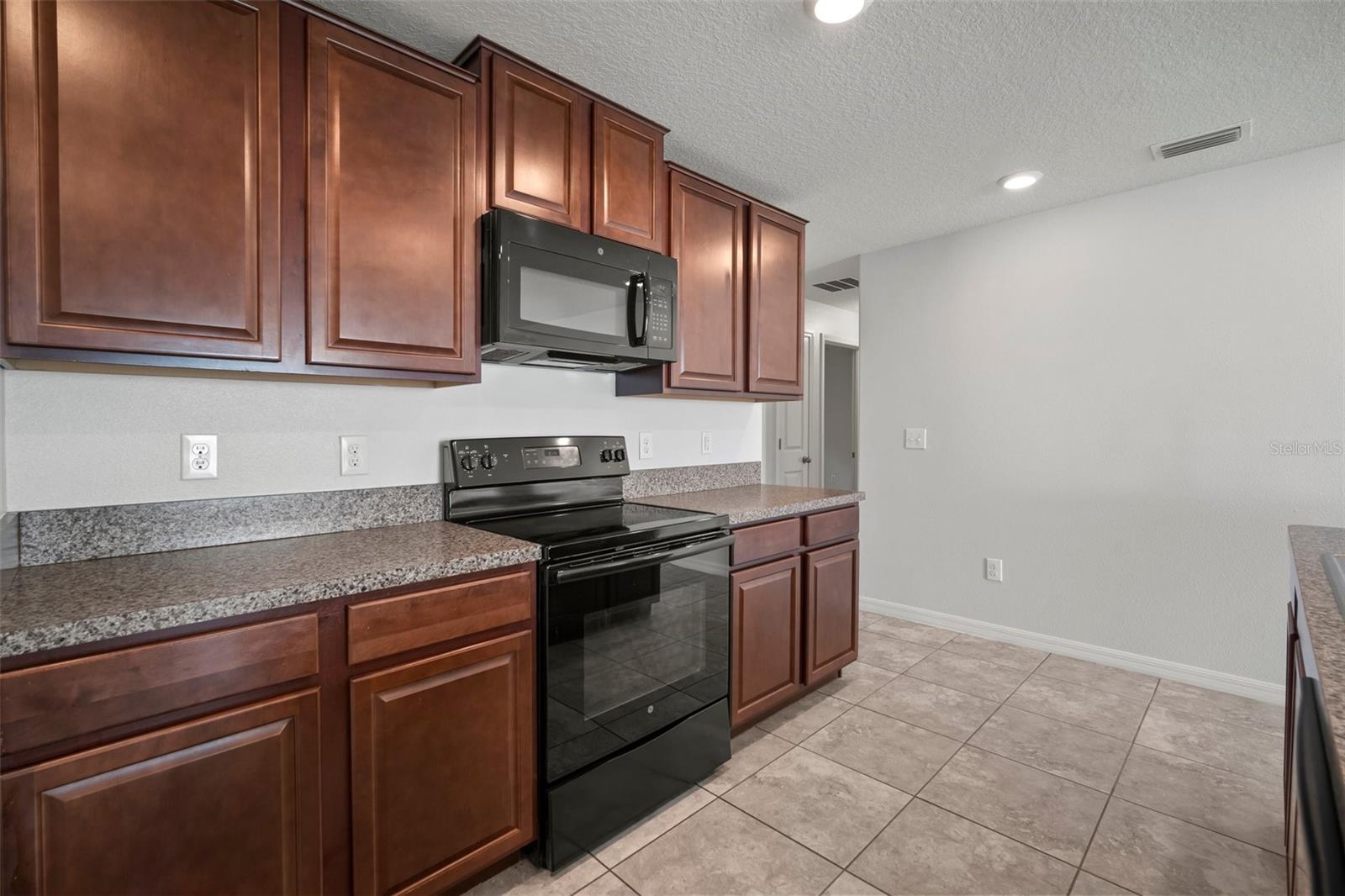 1506 CLIMBING DAYFLOWER DR, RUSKIN, FL, 33570