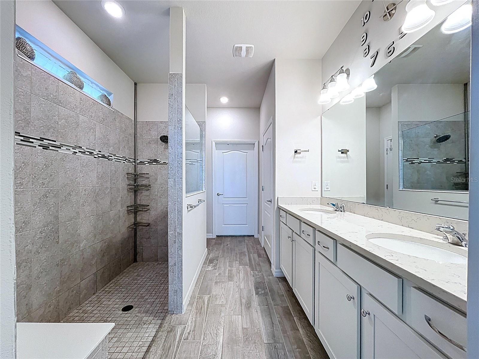 9684 IBIS GROVE BLVD, WESLEY CHAPEL, FL, 33545