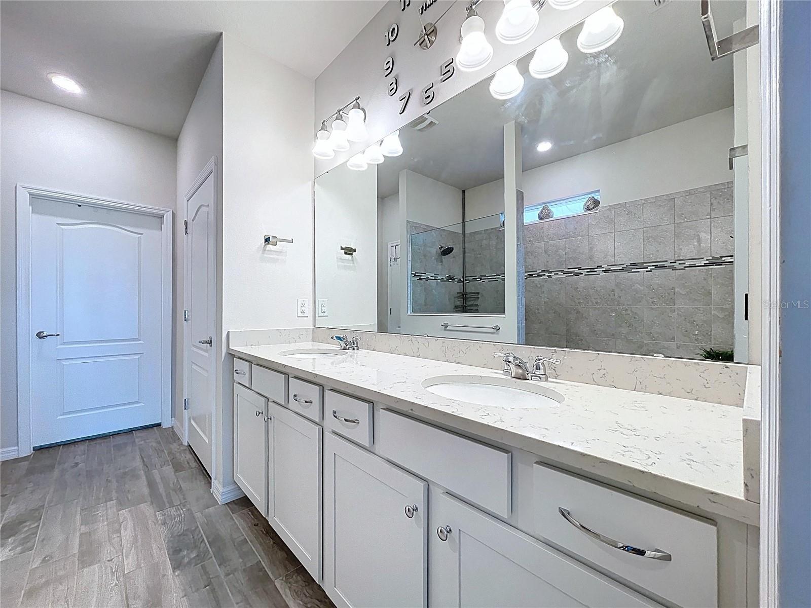 9684 IBIS GROVE BLVD, WESLEY CHAPEL, FL, 33545