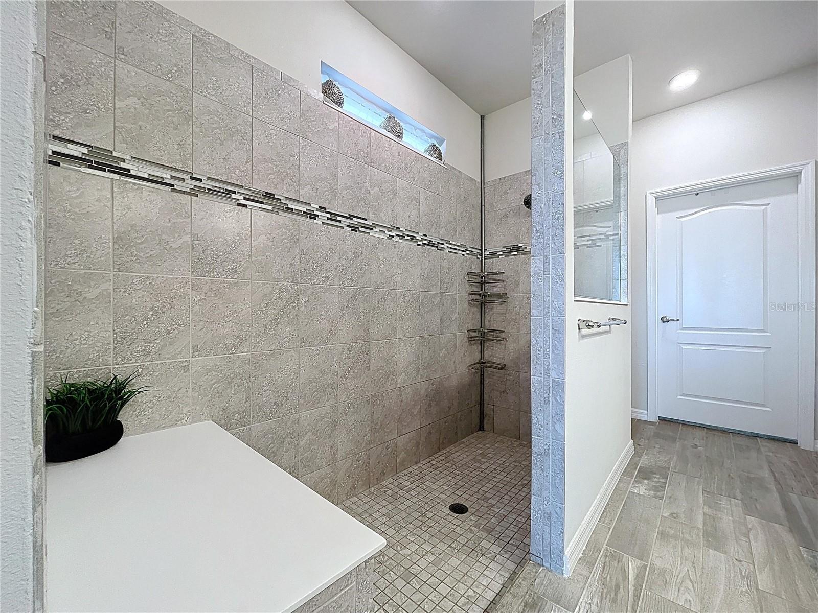9684 IBIS GROVE BLVD, WESLEY CHAPEL, FL, 33545