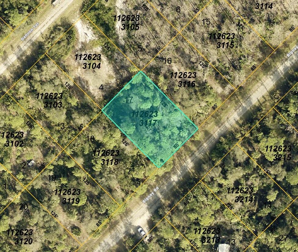 LOT 17 BLOCK 2331 BIGNAY RD, NORTH PORT, FL, 34288