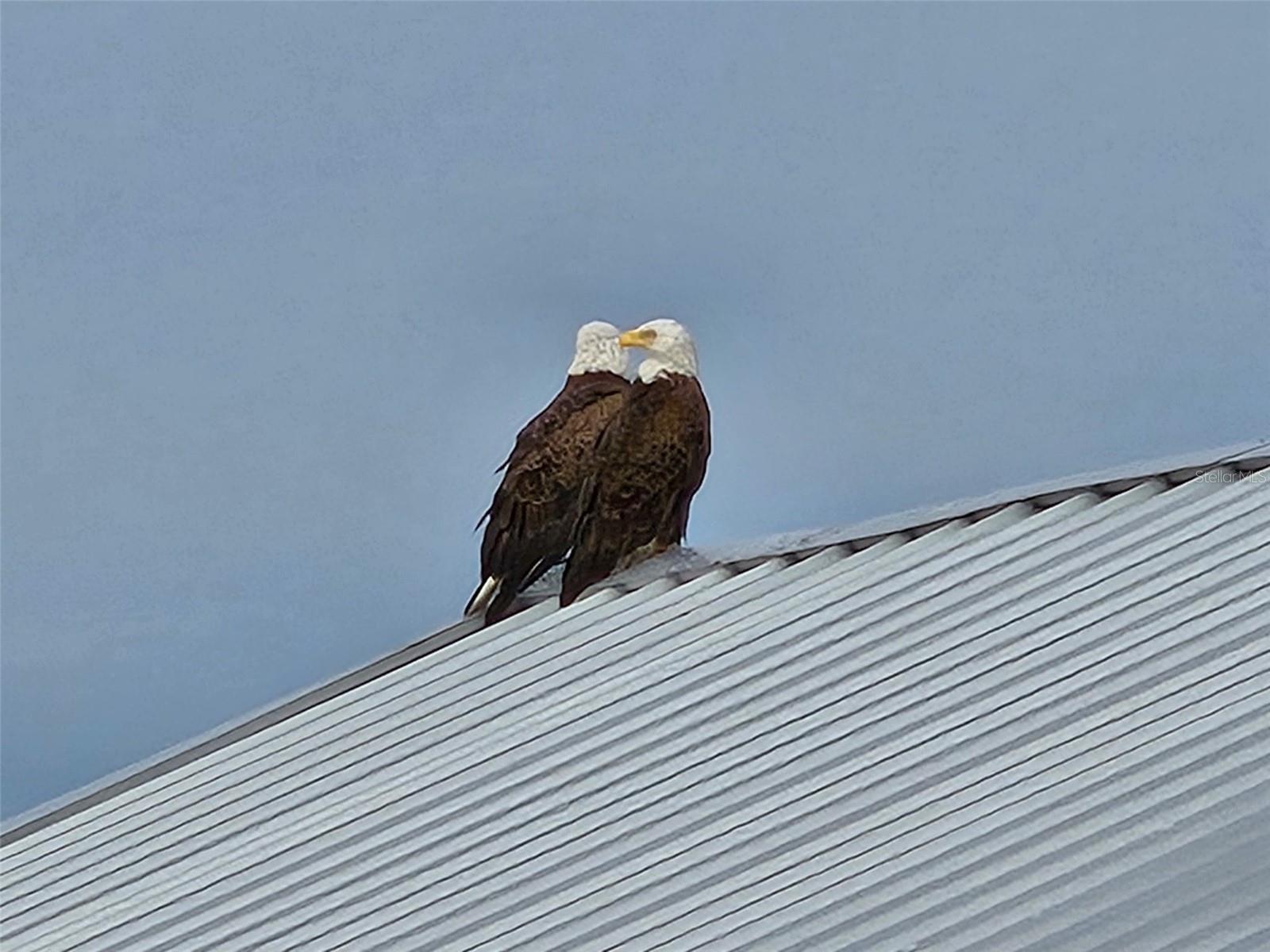 1905 MISSISSIPPI AVE, ENGLEWOOD, FL, 34224