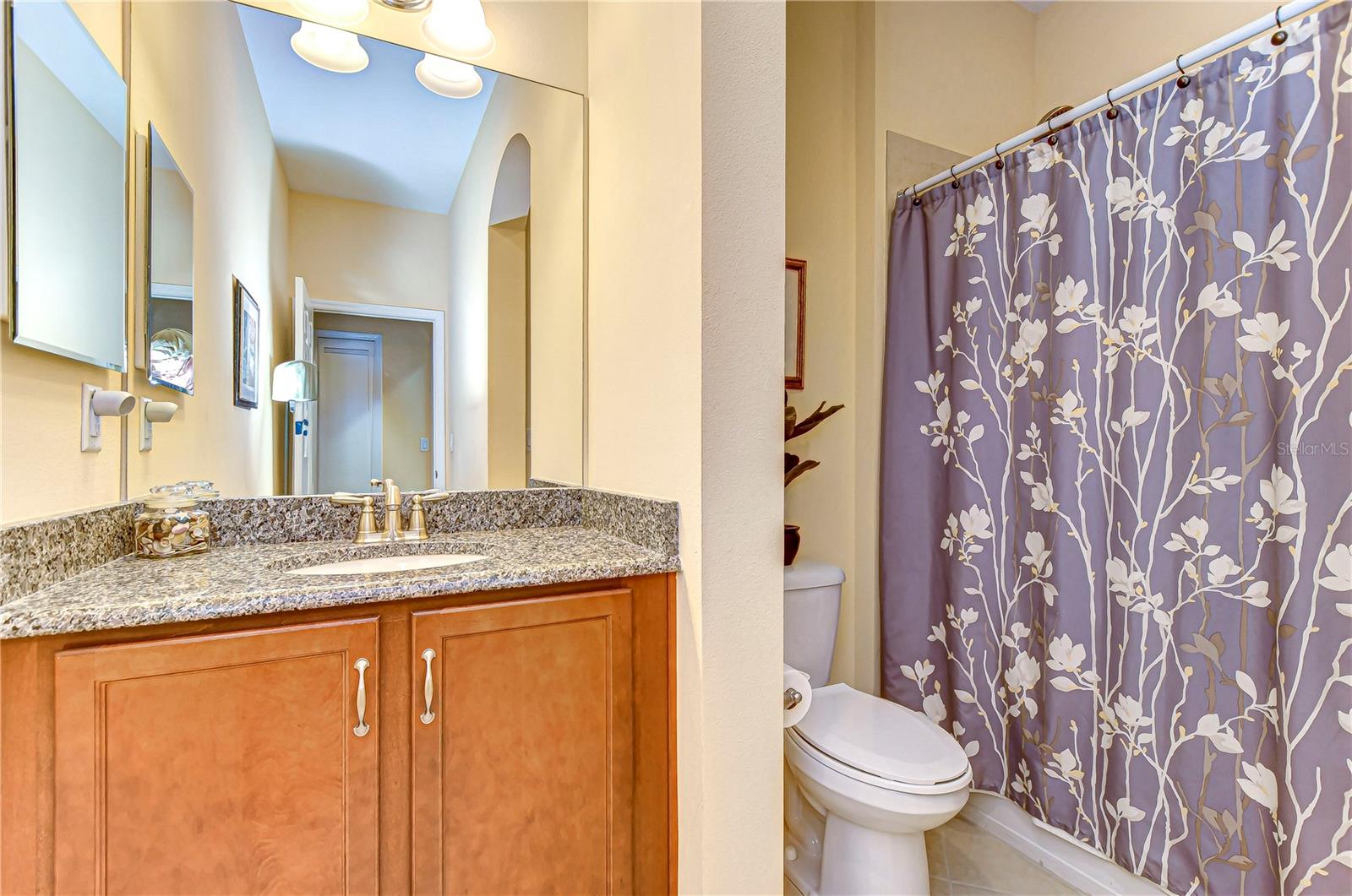 2401 RICHMOND GREENS CT, SUN CITY CENTER, FL, 33573