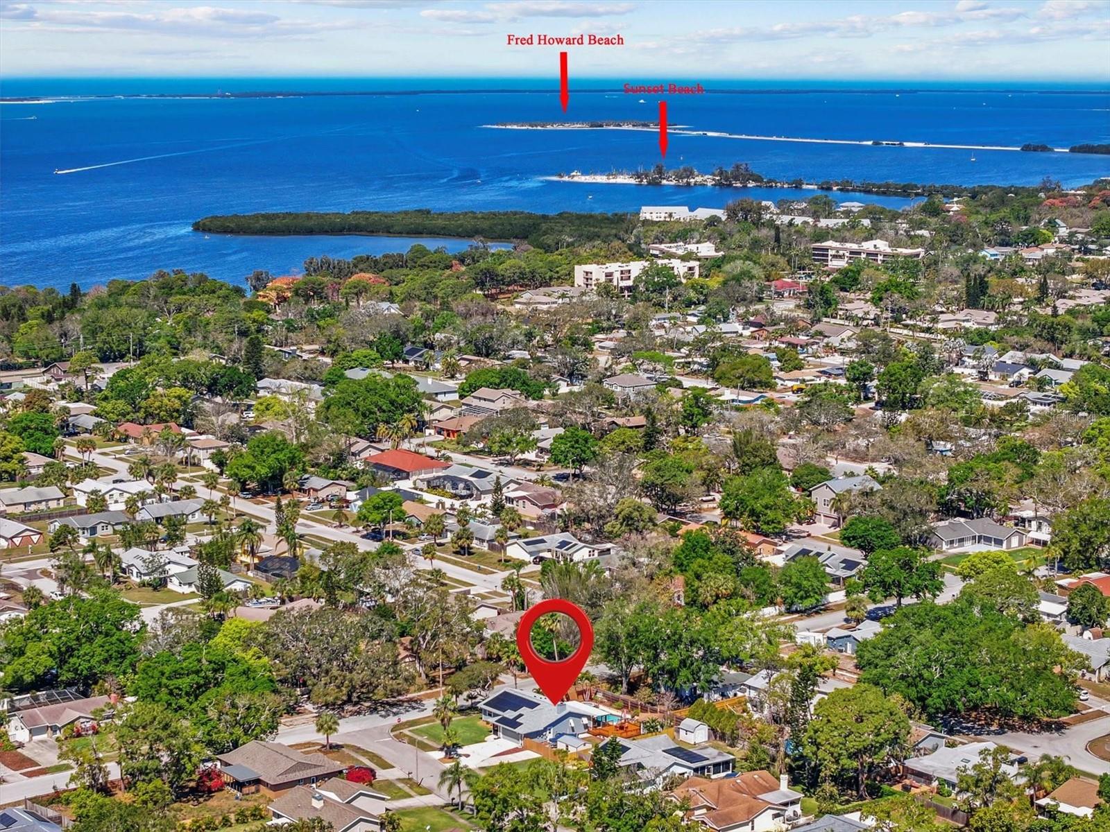 1330 GULFVIEW WOODS LN, TARPON SPRINGS, FL, 34689