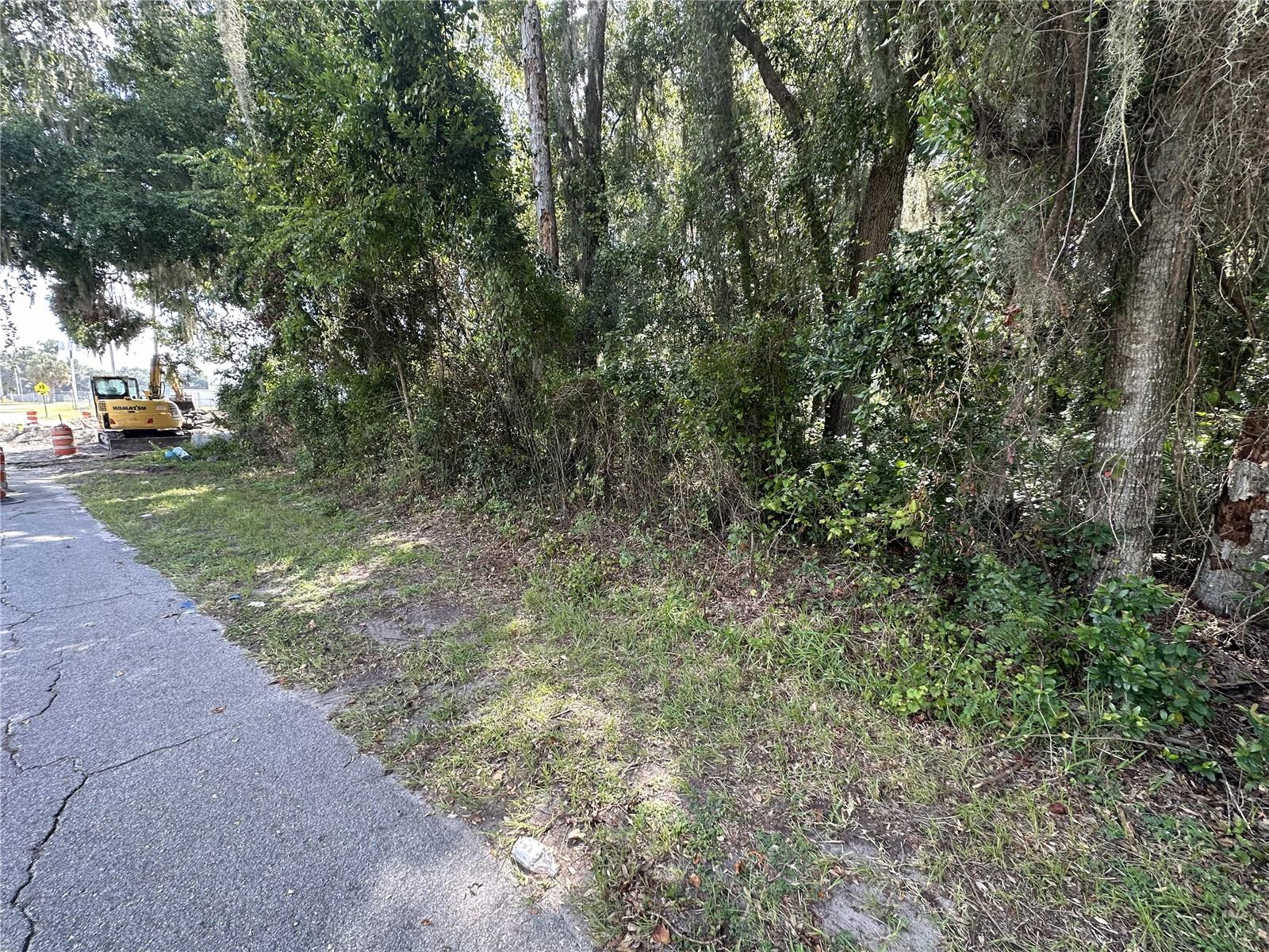 207 S OLD WIRE RD, WILDWOOD, FL, 34785
