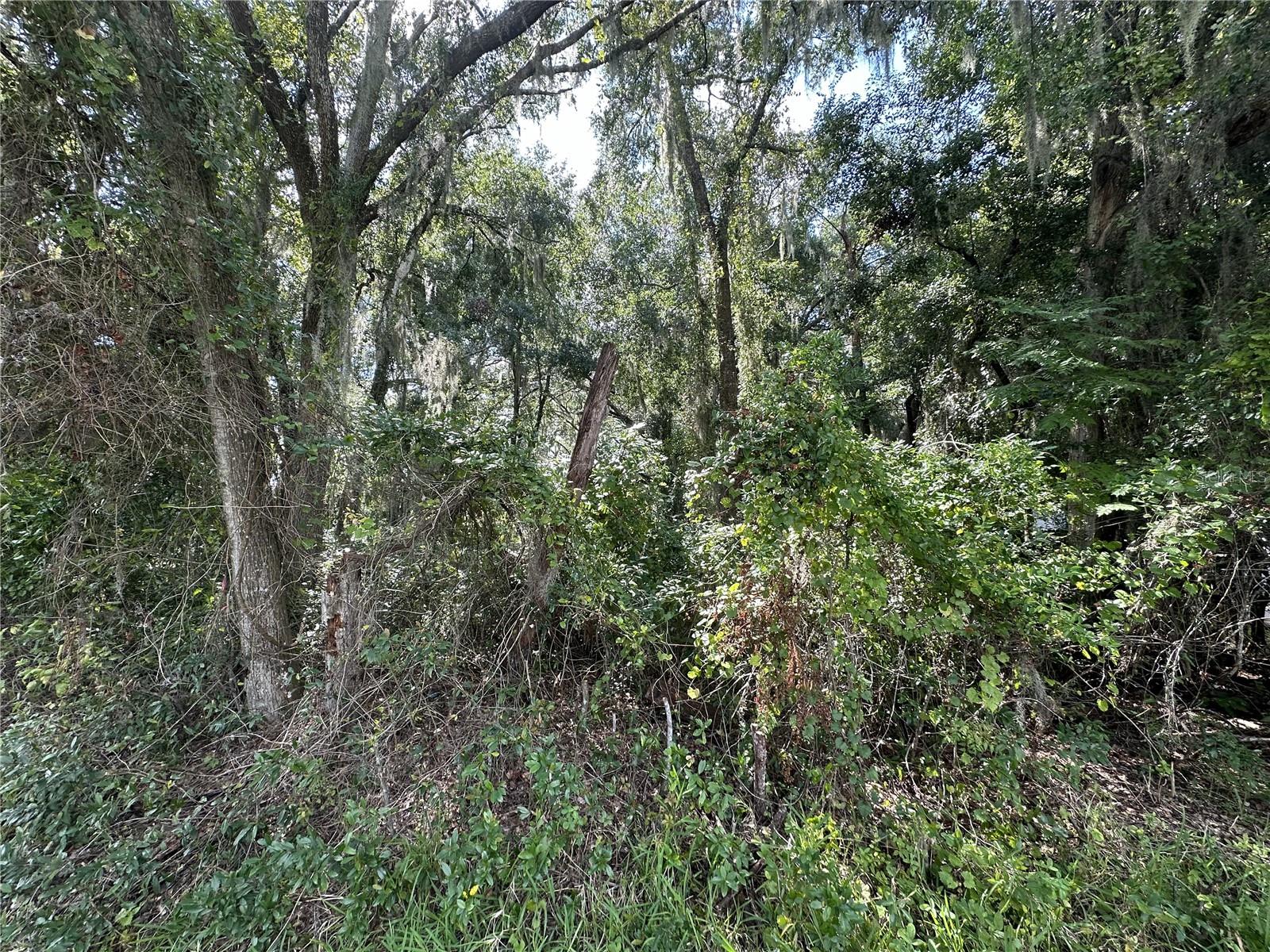 207 S OLD WIRE RD, WILDWOOD, FL, 34785