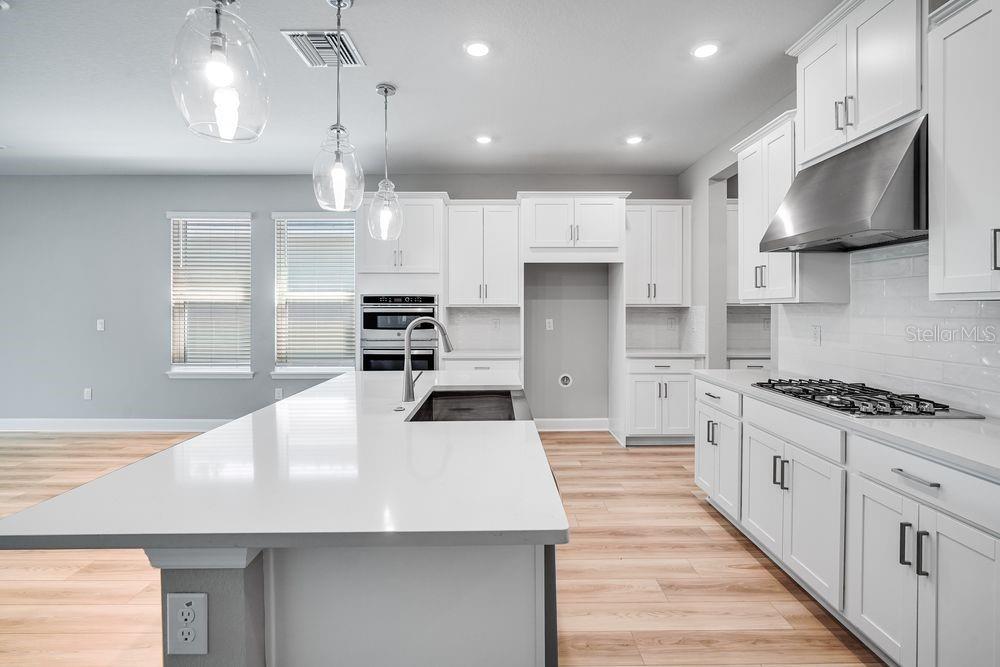 1702 TRAILHEAD LN, ZEPHYRHILLS, FL, 33541