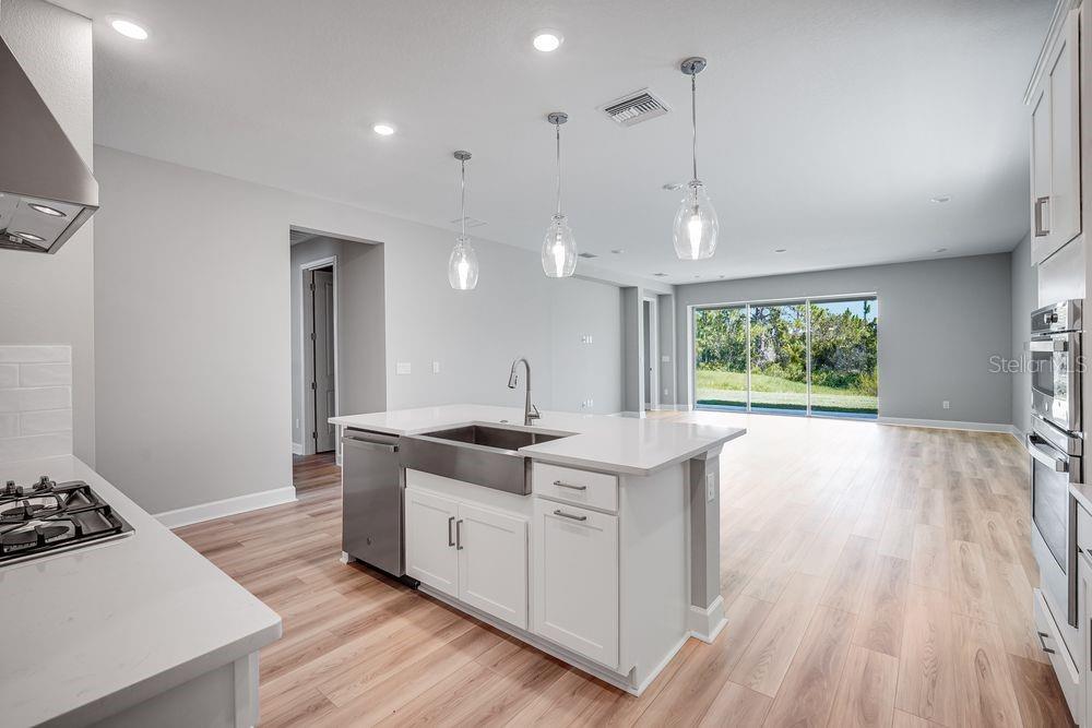1702 TRAILHEAD LN, ZEPHYRHILLS, FL, 33541