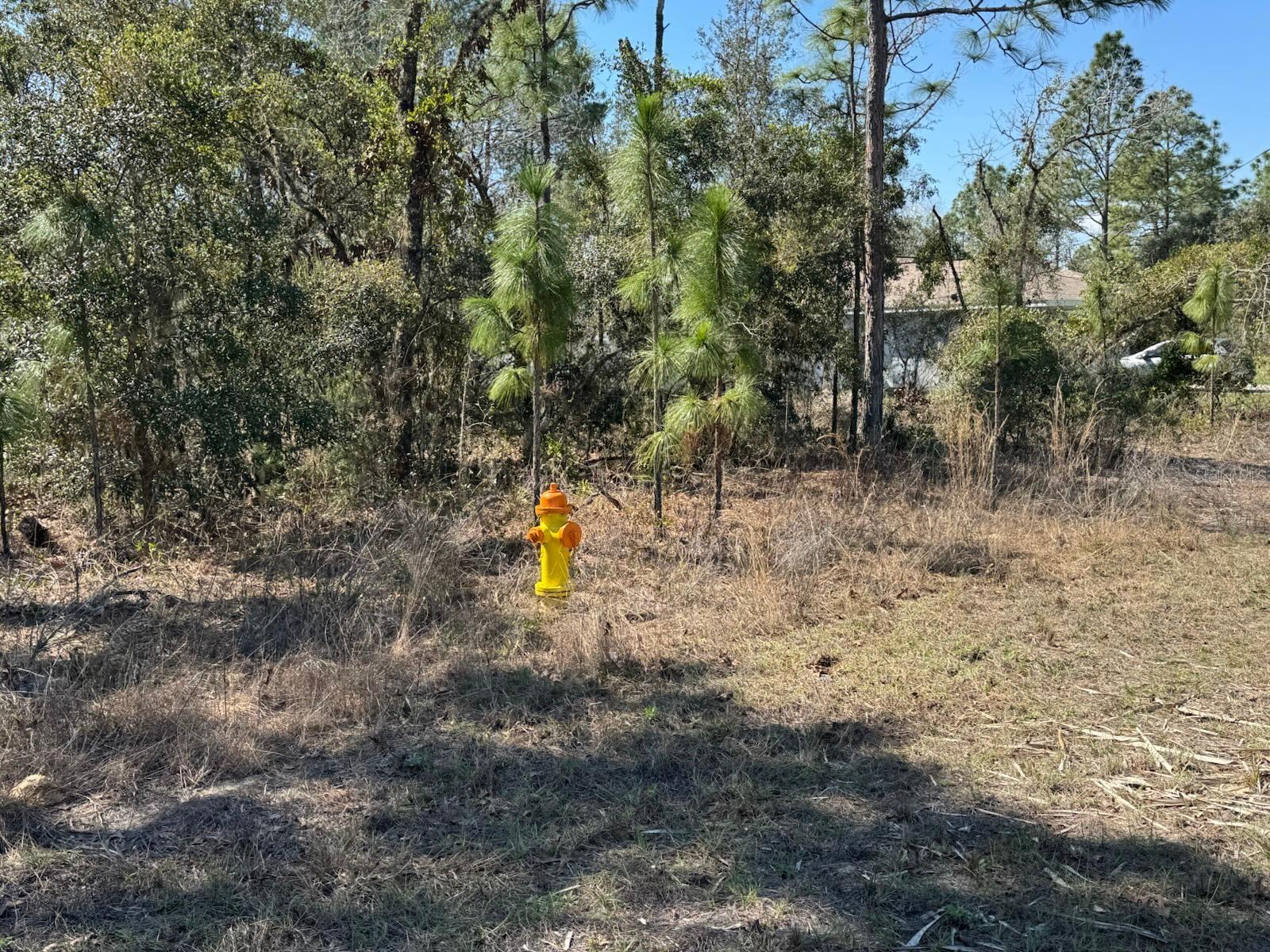 3282 W WILHELM ST, CITRUS SPRINGS, FL, 34433