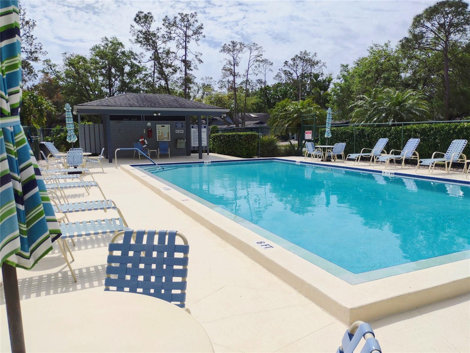 100 MORNING DOVE PL, OLDSMAR, FL, 34677