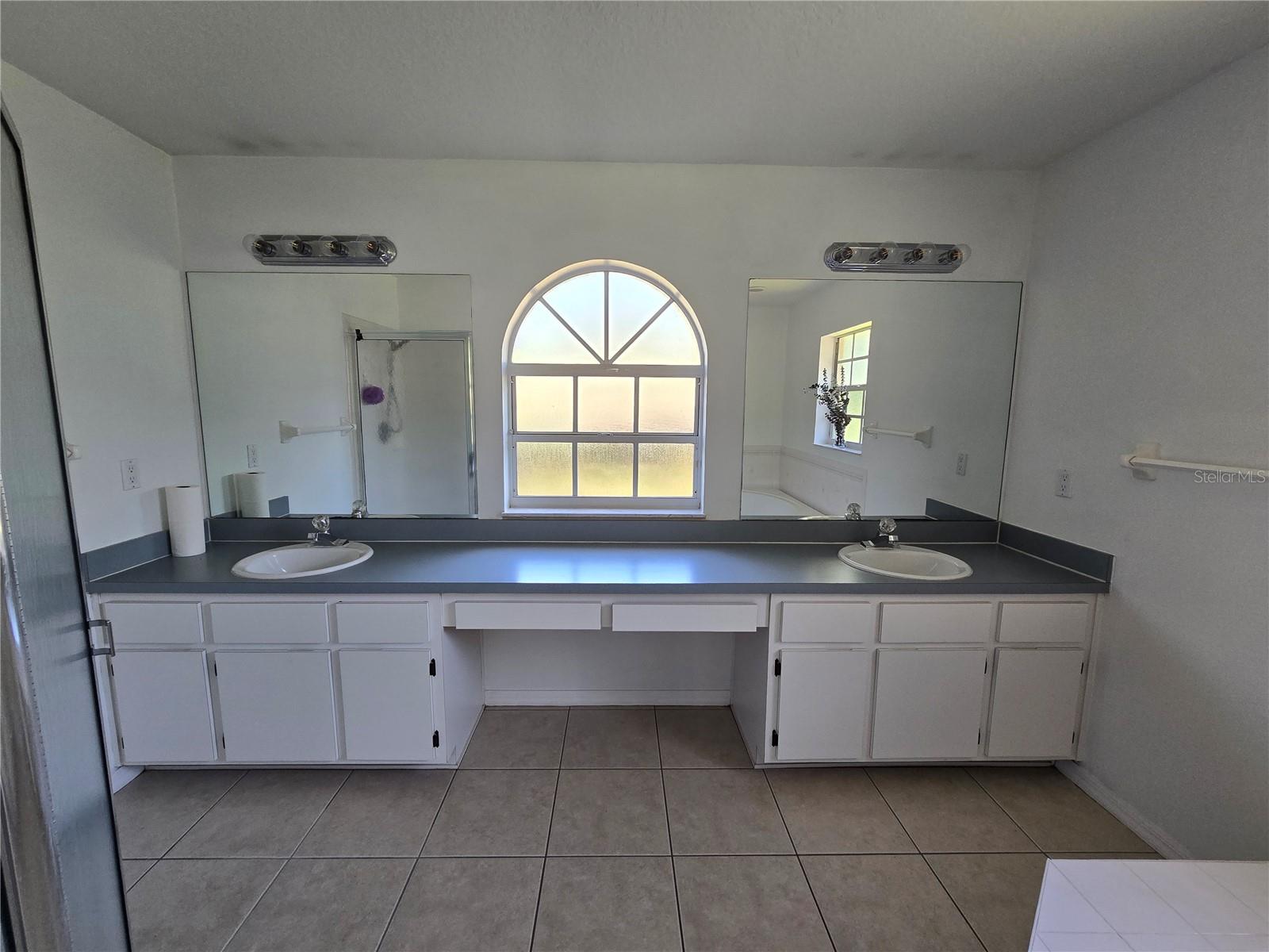 10146 SLEEPY WILLOW CT, SPRING HILL, FL, 34608