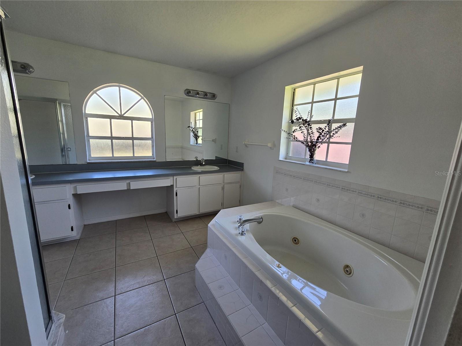 10146 SLEEPY WILLOW CT, SPRING HILL, FL, 34608
