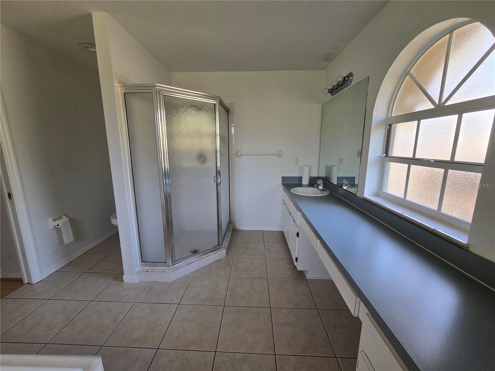 10146 SLEEPY WILLOW CT, SPRING HILL, FL, 34608