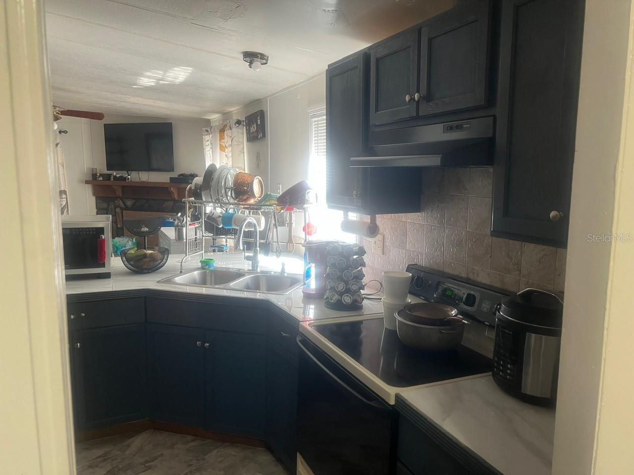 3442 DEW BERRY AVE, APOPKA, FL, 32712